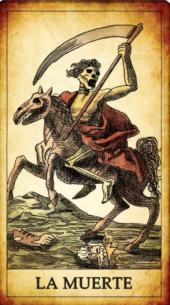 card-7