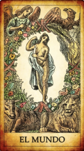 card-5